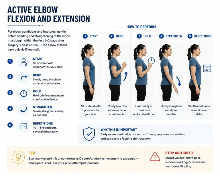 Active elbow flexion and extension