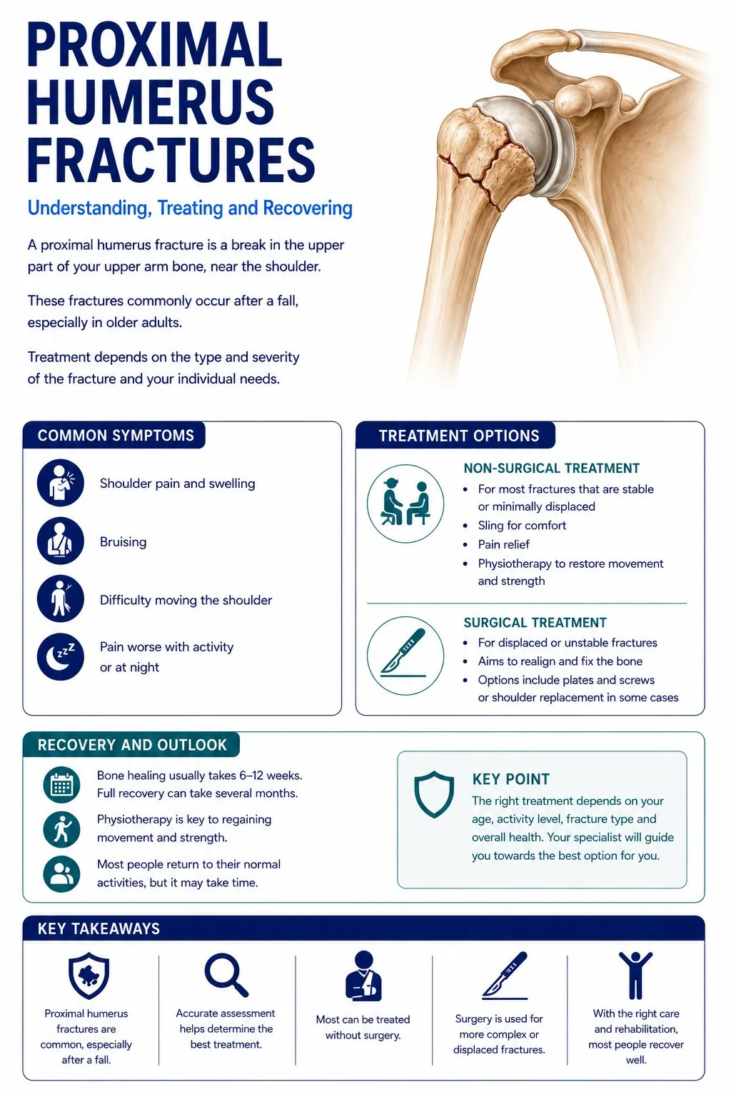 Proximal humerus fracture infographic